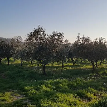 Stancija Padovan Appartamento Porec